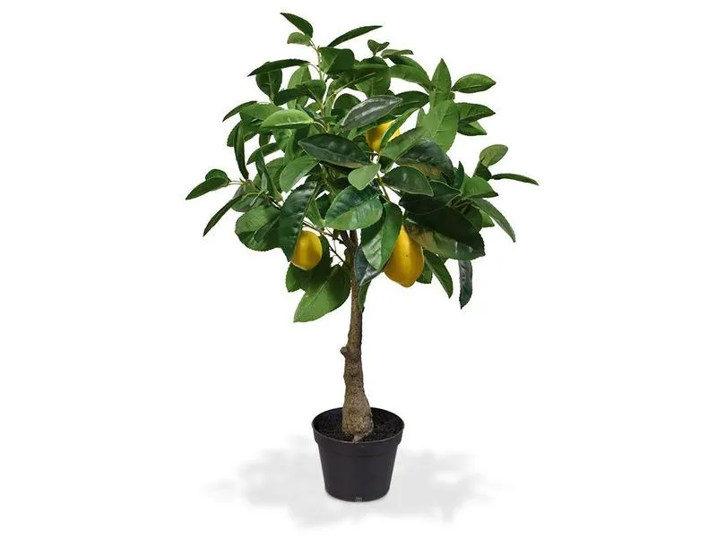 Botanic-Haus Kunstpflanze Zitronenbaum, 70 cm