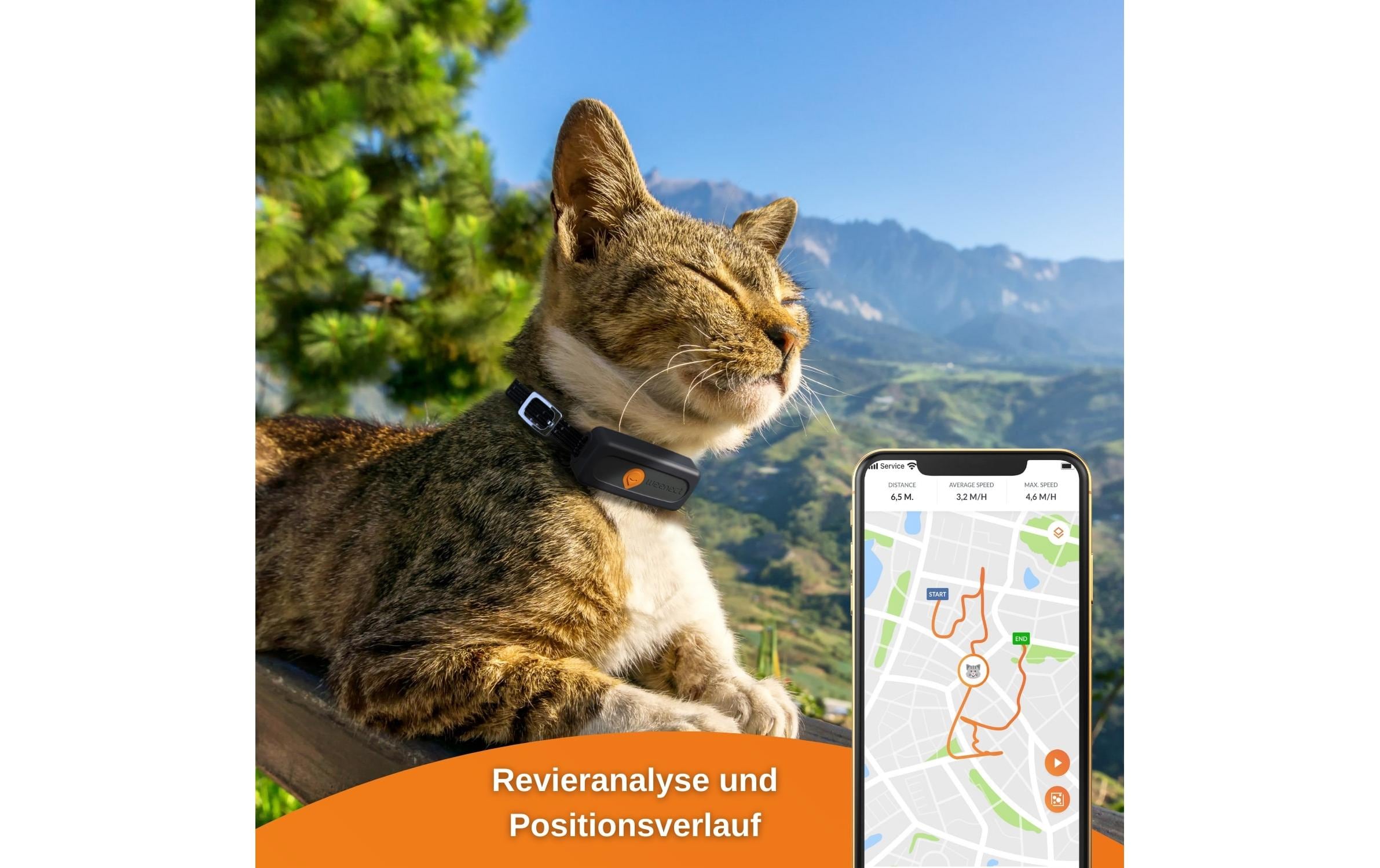 Weenect GPS-Tracker XS für Katzen, Schwarz