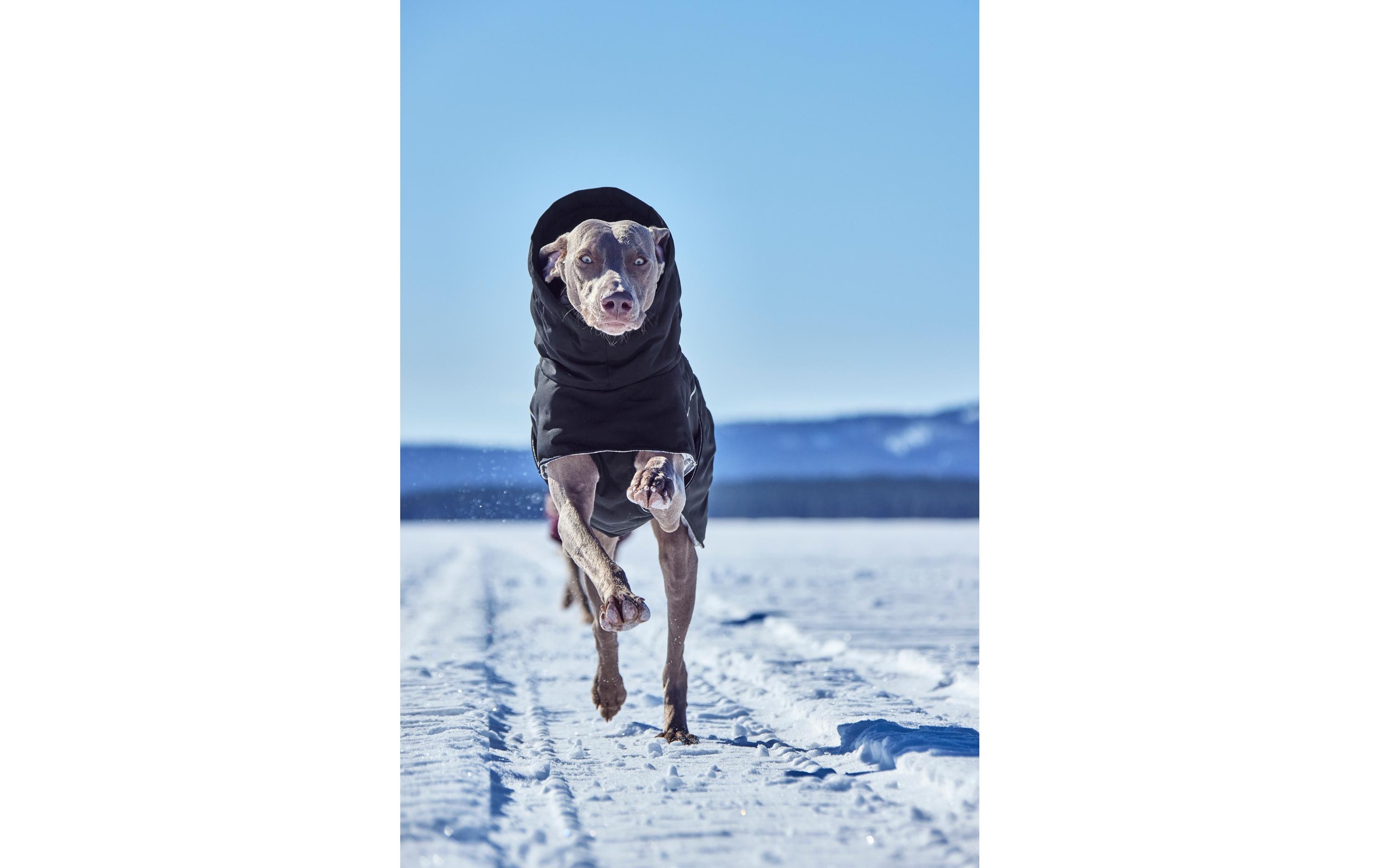 HURTTA Extreme Warmer V3 Eco Schwarz, 65 cm