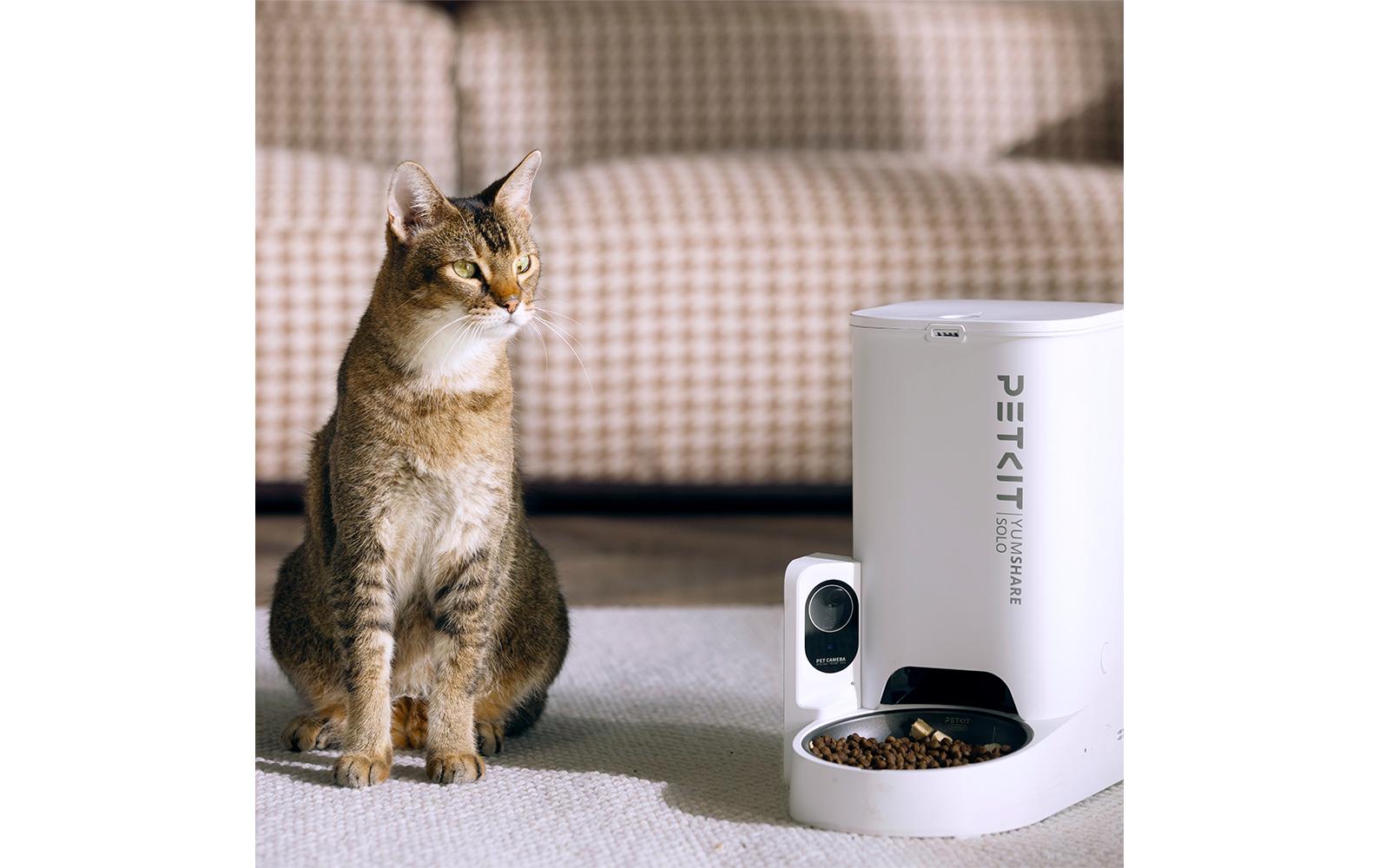 PETKIT YumShare Futterautomat Solo, 3 l, Weiss PETKIT YumShare Futterautomat Solo, 3 l, Weiss