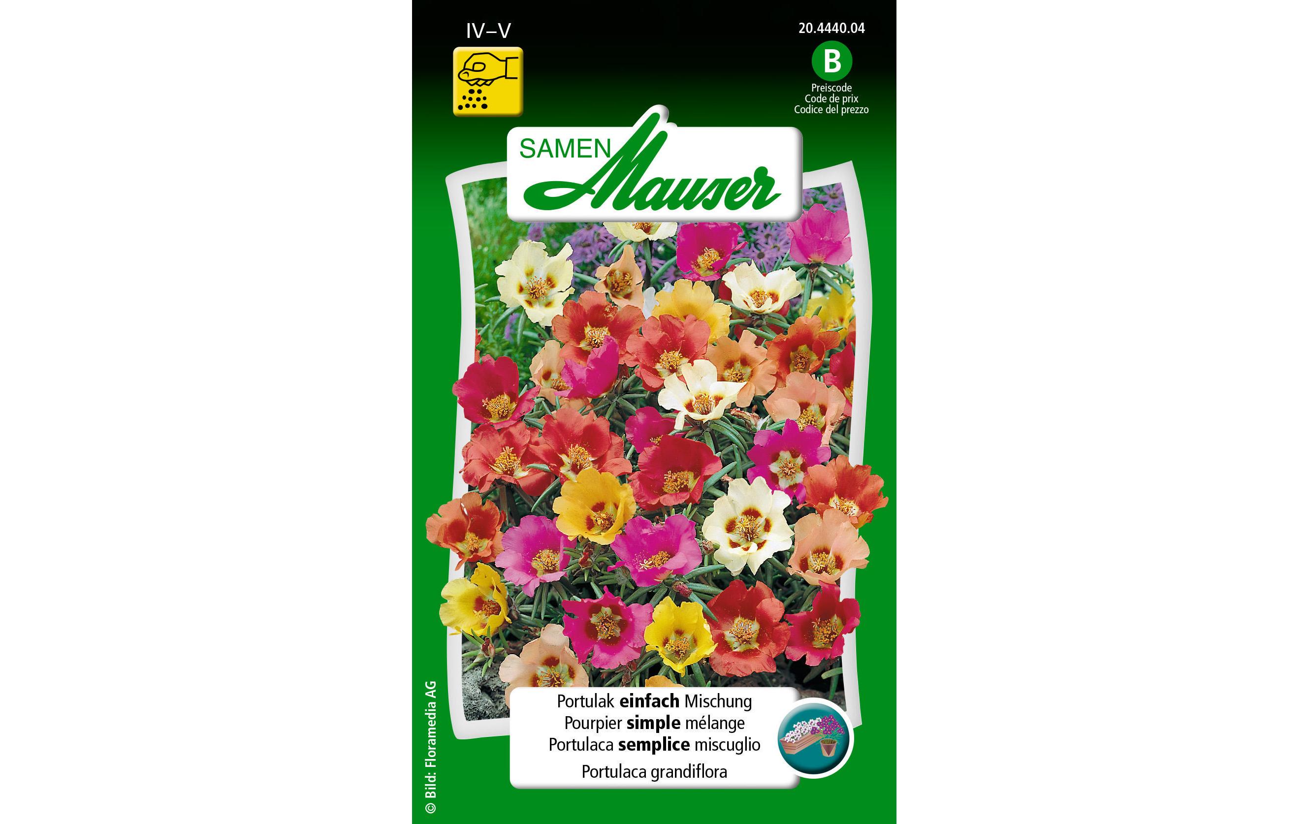 Samen Mauser Saatgut Portulak einfach Mischung Samen Mauser Saatgut Portulak einfach Mischung