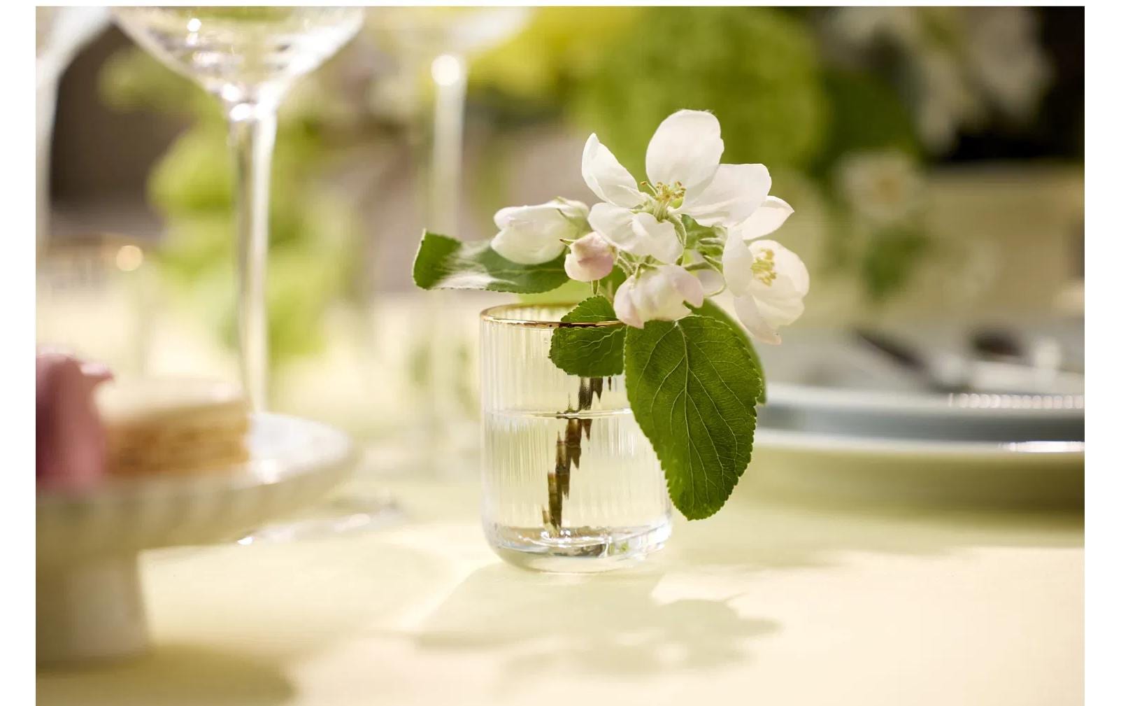 Lyngby Schnapsglas Palermo Gold 6 cl, 6er Set