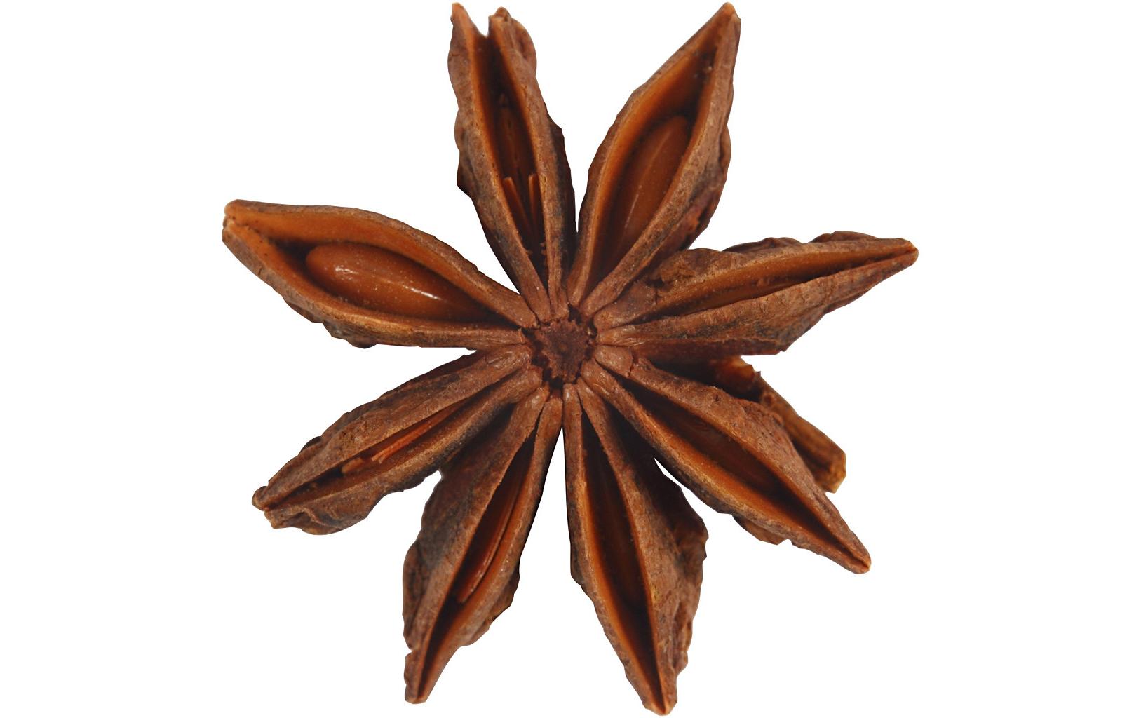 Creativ Company Anissterne 10 Stück Creativ Company Anissterne 10 Stück