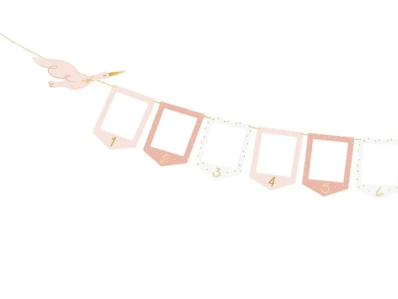 Partydeco Girlande Storch Rosa, 10.5 x 15 cm, 3 m Partydeco Girlande Storch Rosa, 10.5 x 15 cm, 3 m