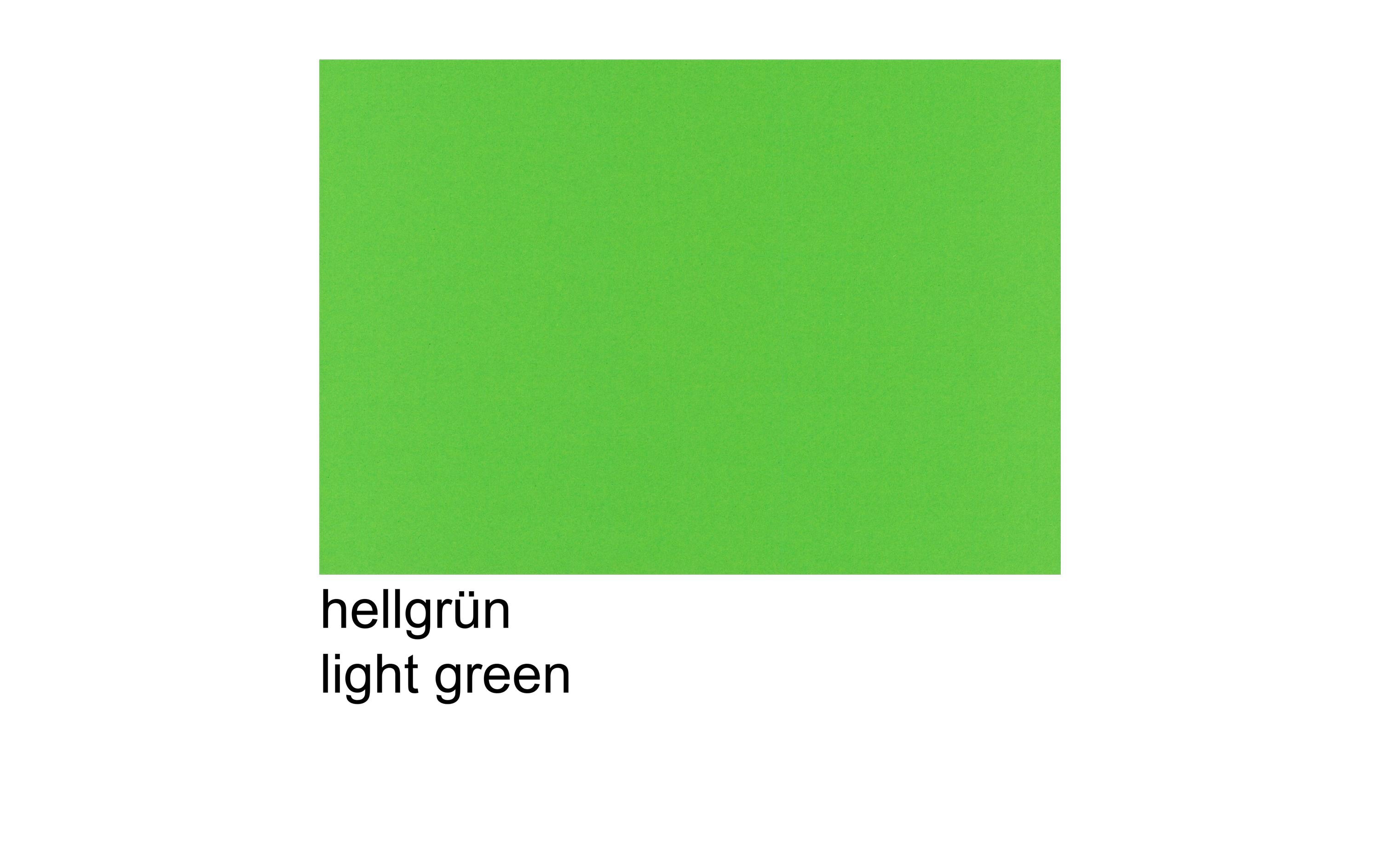 Scaldia Tonzeichenpapier A4, 130 g/m², 100 Stück, Hellgrün