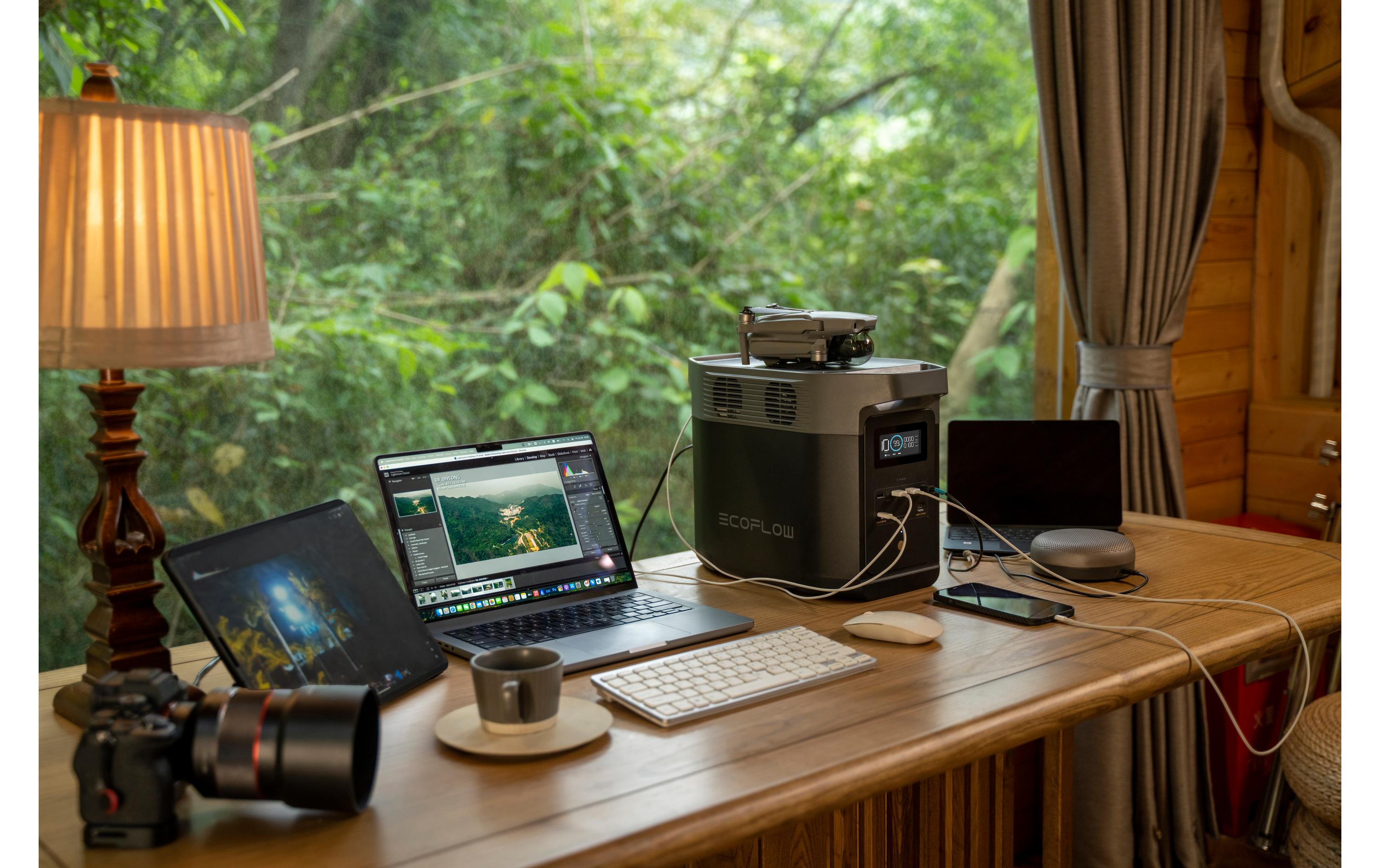 EcoFlow Power Station Delta 2, 1000 Wh