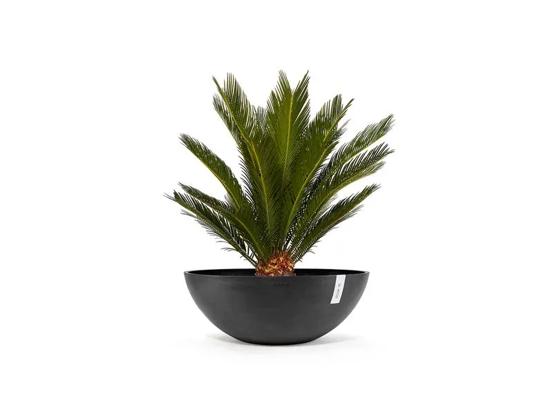 Ecopots Blumentopf Vienna Ø 70 cm Dunkelgrau Ecopots Blumentopf Vienna Ø 70 cm Dunkelgrau