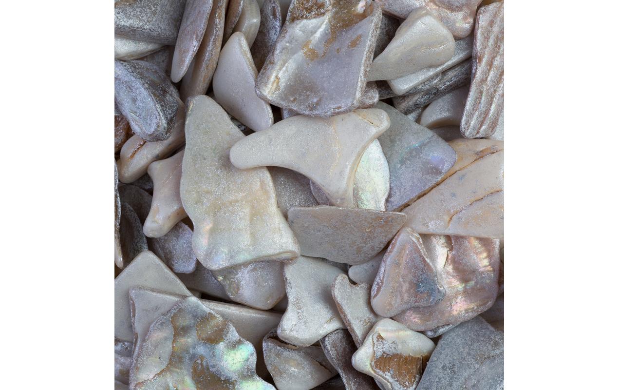 Ambiance Muschelplatten Shiny Shell Hellgrau Ambiance Muschelplatten Shiny Shell Hellgrau