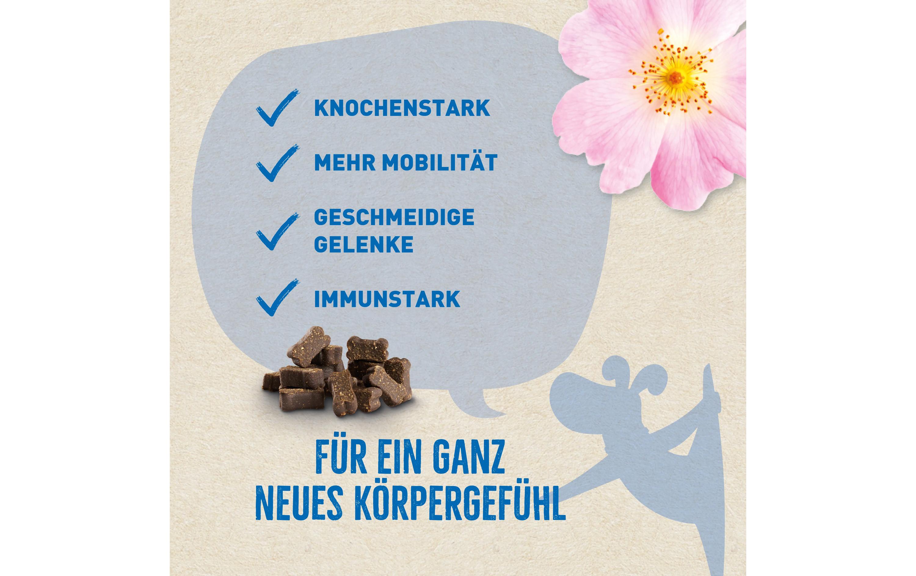 Wildes Land Leckerli 2-in-1 Snack Mobility 300 g