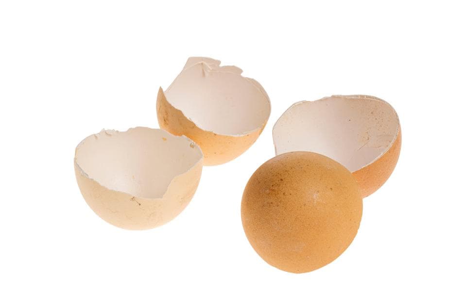 Opiflor Osterei-Schale 200 g, Natur-Braun