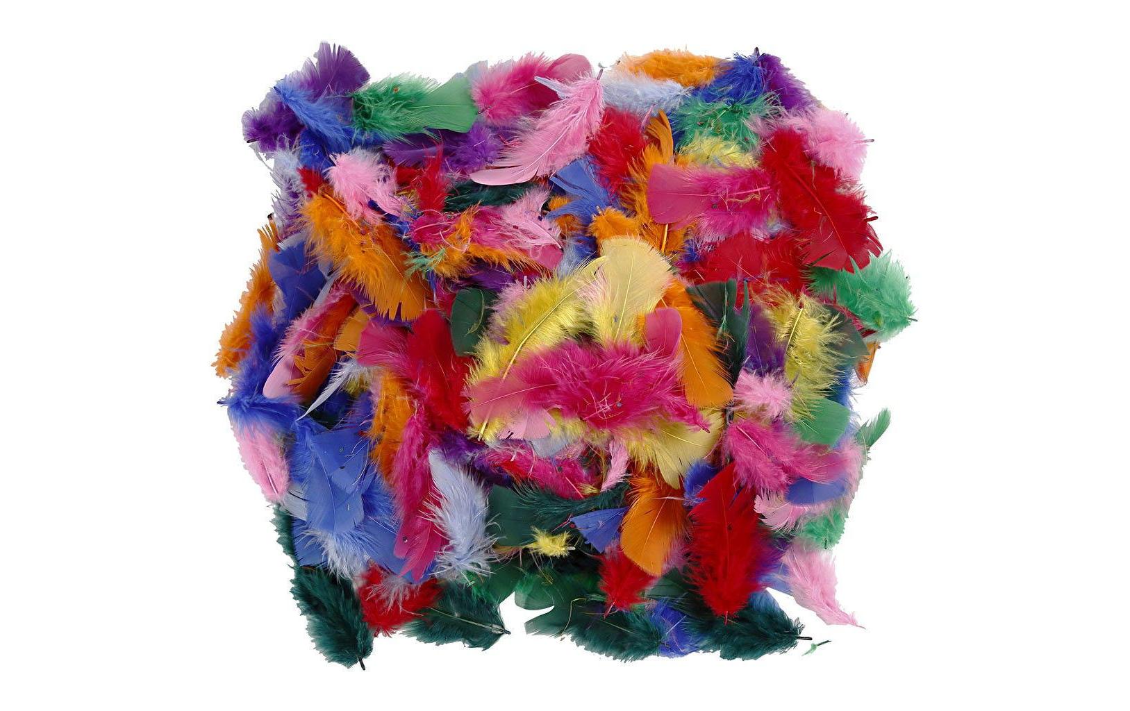 Creativ Company Federn 50 g Mehrfarbig