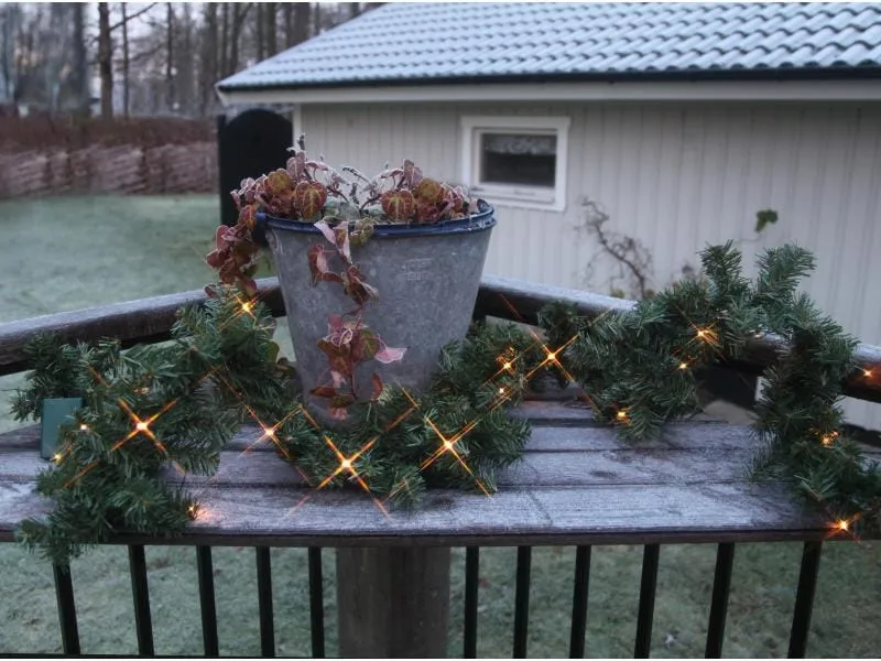 Star Trading Girlande Canadian, 2.5 m, 30 LED, Grün Star Trading Girlande Canadian, 2.5 m, 30 LED, Grün