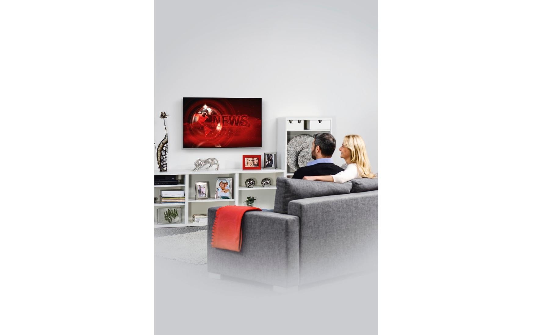 Hama Technics AG TV-Wandhalterung 65 Schwarz