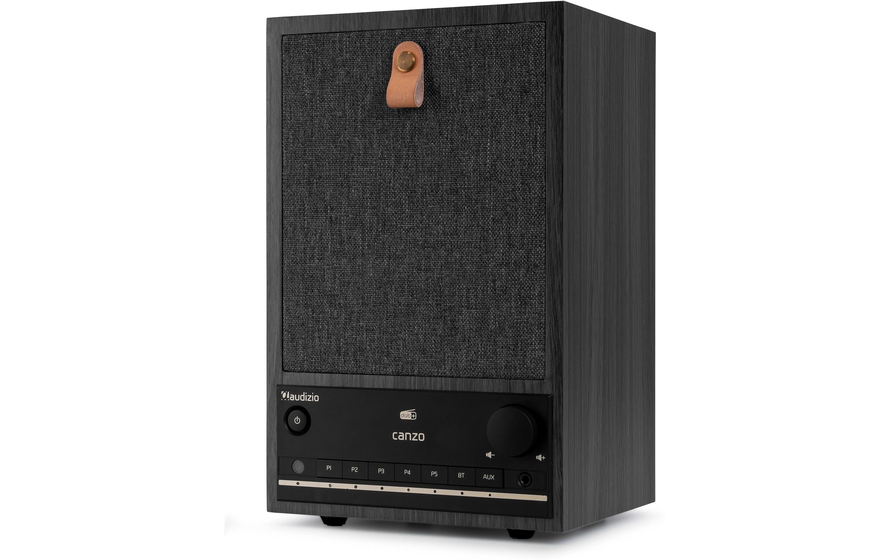 Audizio Internet Radio Canzo Dunkelgrau