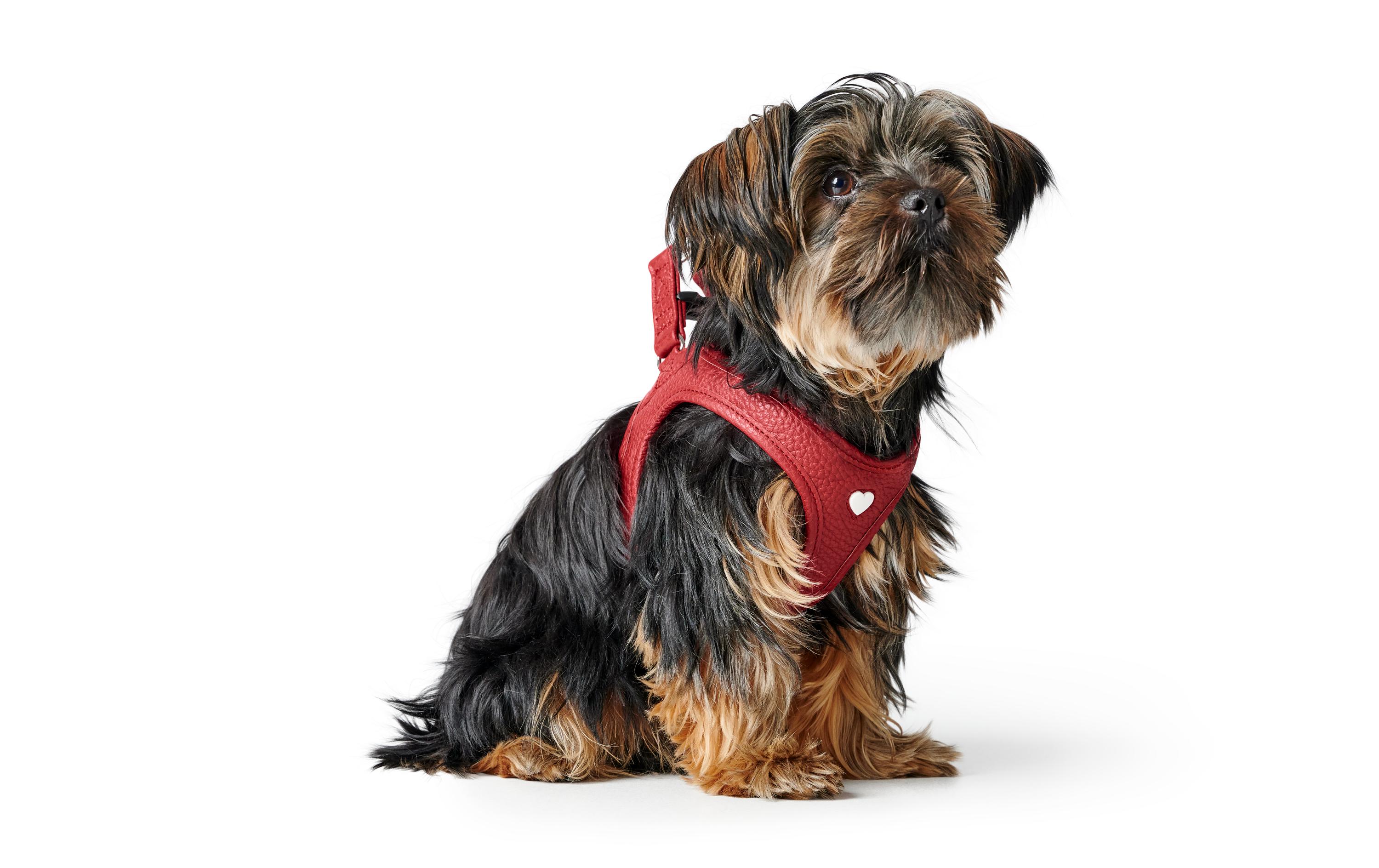 Hunter Geschirr Love 30-34/XXS-XS, Rot/Schwarz