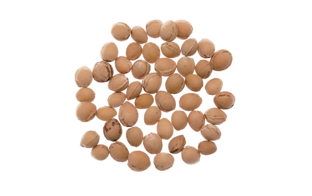 Glorex Kirschkerne 500g Glorex Kirschkerne 500g