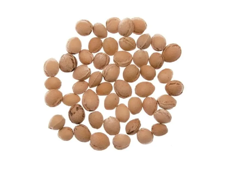 Glorex Kirschkerne 500g Glorex Kirschkerne 500g