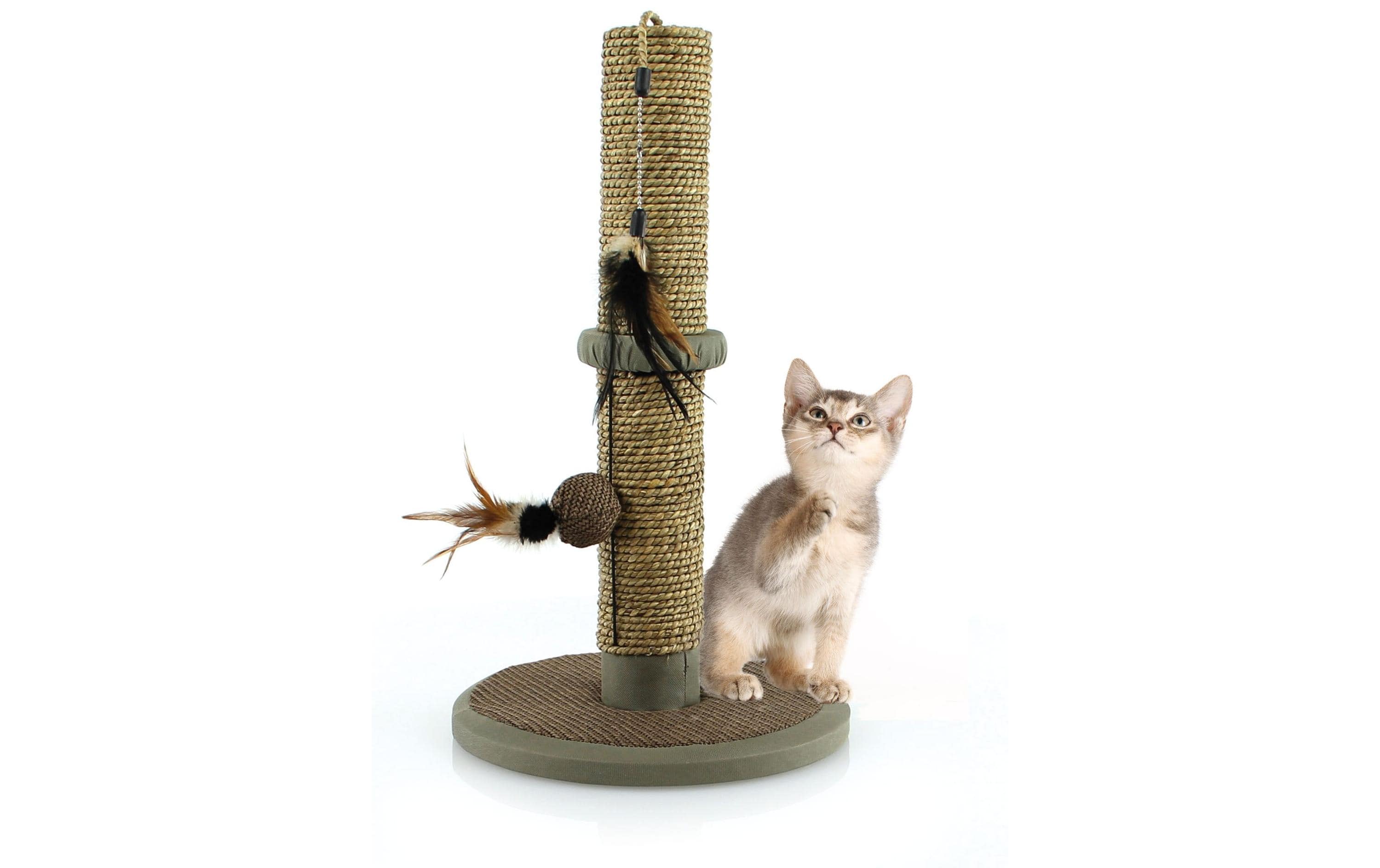 SwissPet Kratzmöbel Naturo, 50 cm, Braun