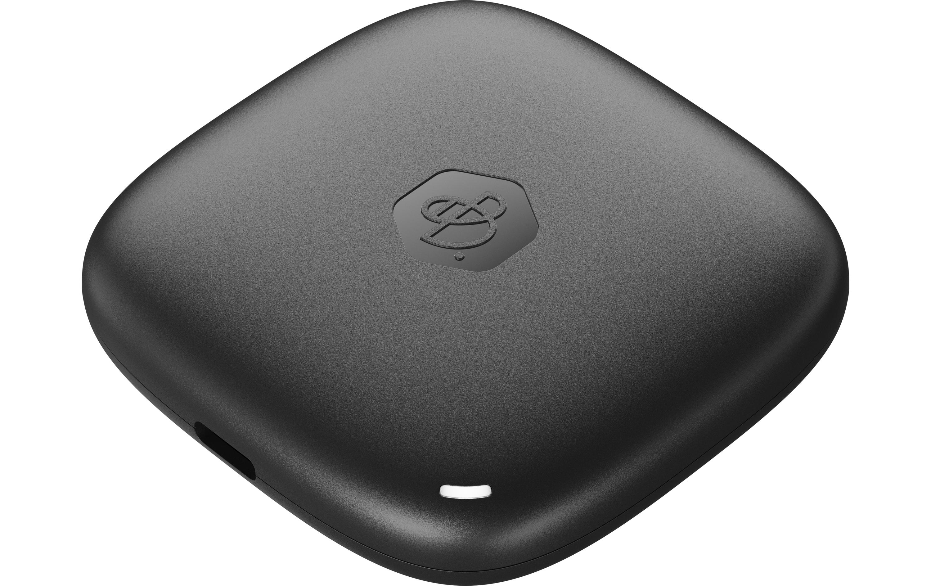 Synology Externe SSD BeeDrive 1000 GB