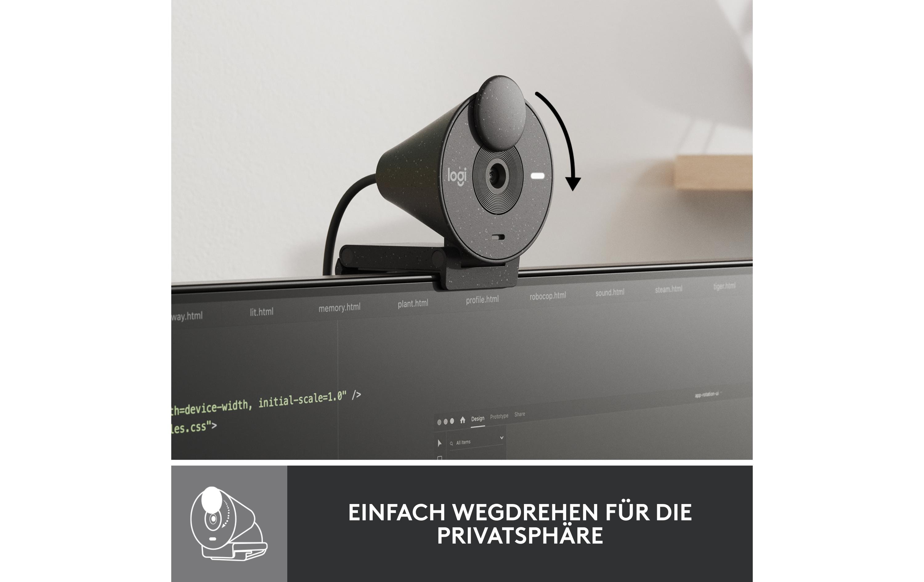 Logitech Webcam Brio 300 Graphite