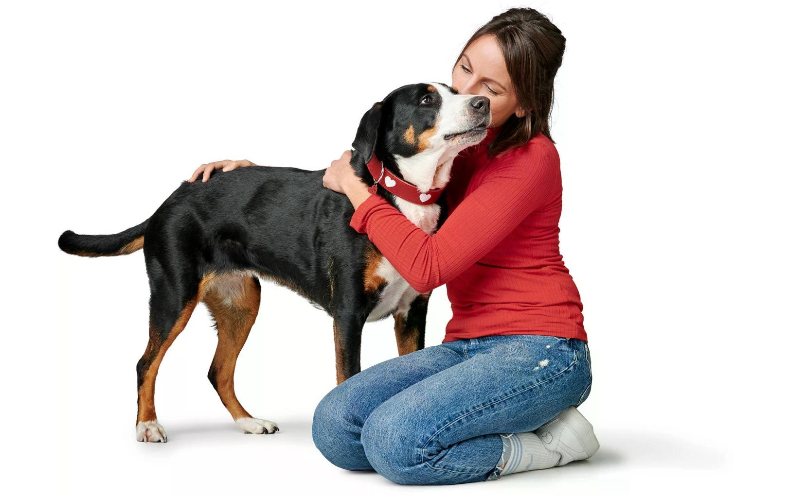 Hunter Halsband Love L (65), Rot/Schwarz