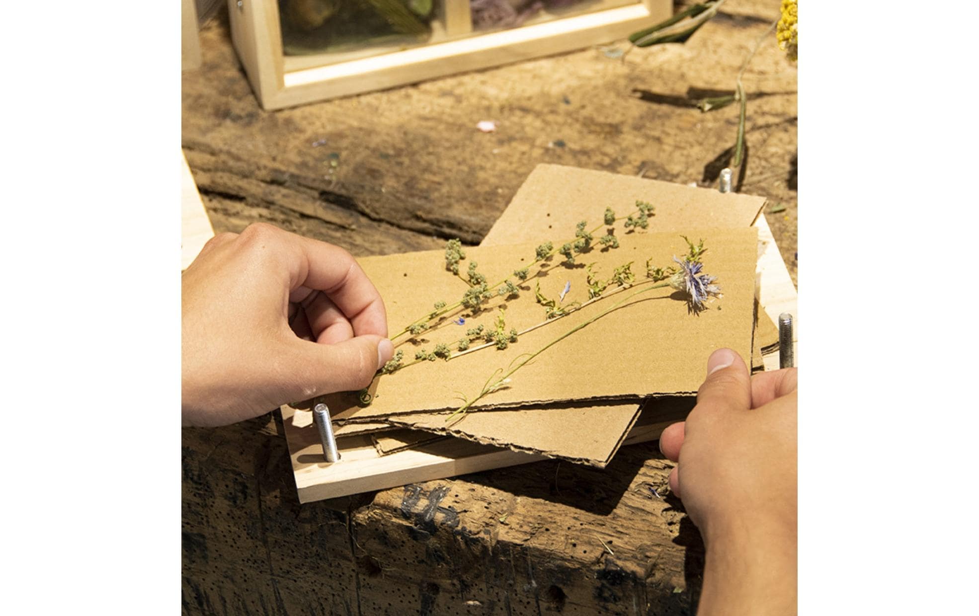 Esschert Design Blumen-und Kräuterpresse mit Schrauben