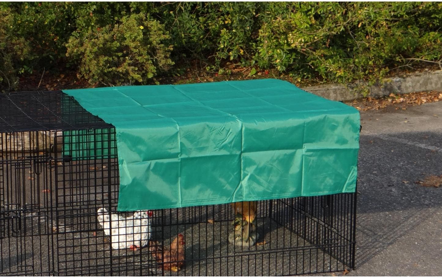 Sanilu Sonnenschutz, 159 x 100 cm, Grün