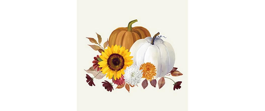 Braun + Company Papierservietten Pumpkin blanc de blanc Beige, 20 Stück