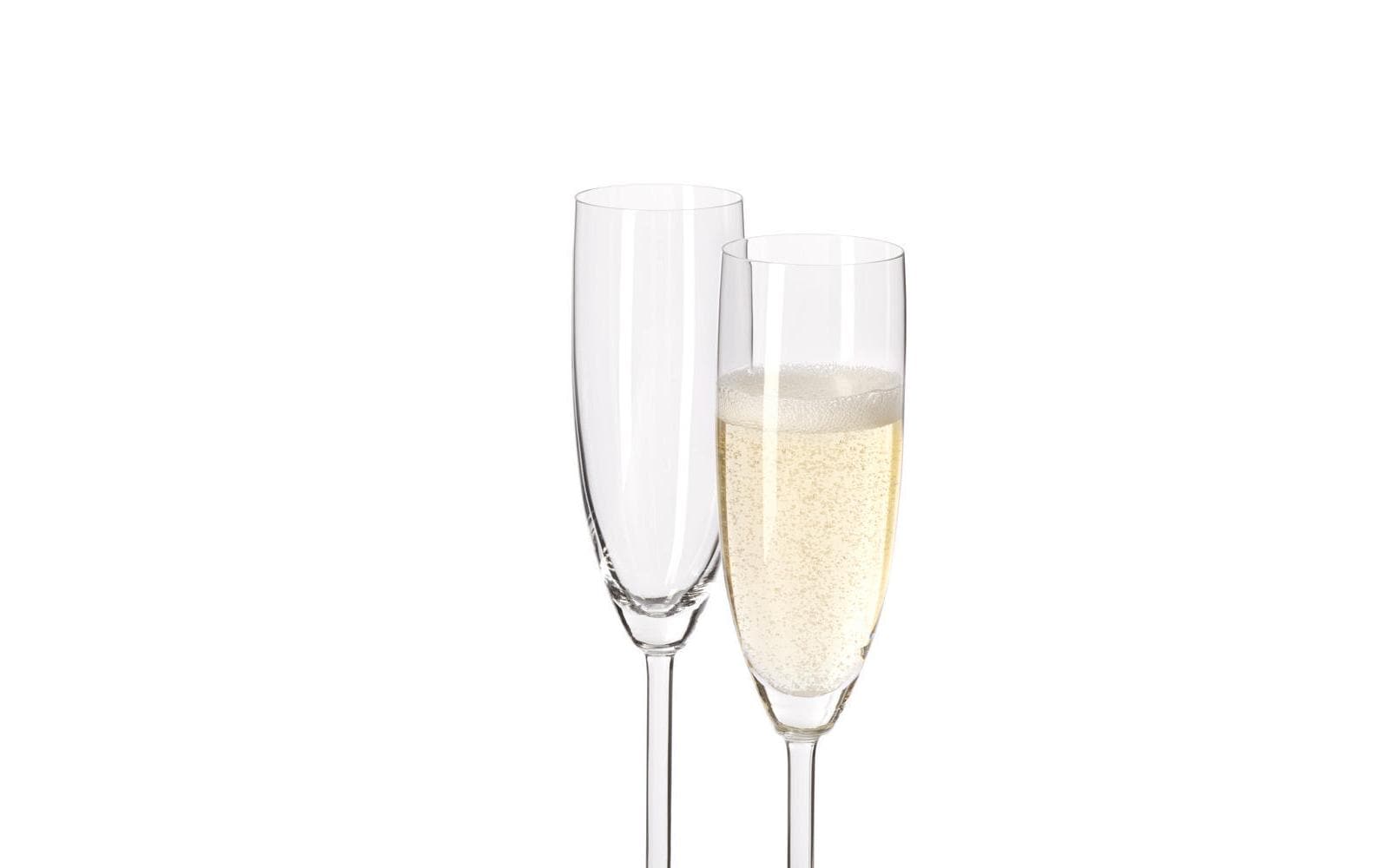 Leonardo Sektglas Daily 200 ml, 6 Stück, Transparent 