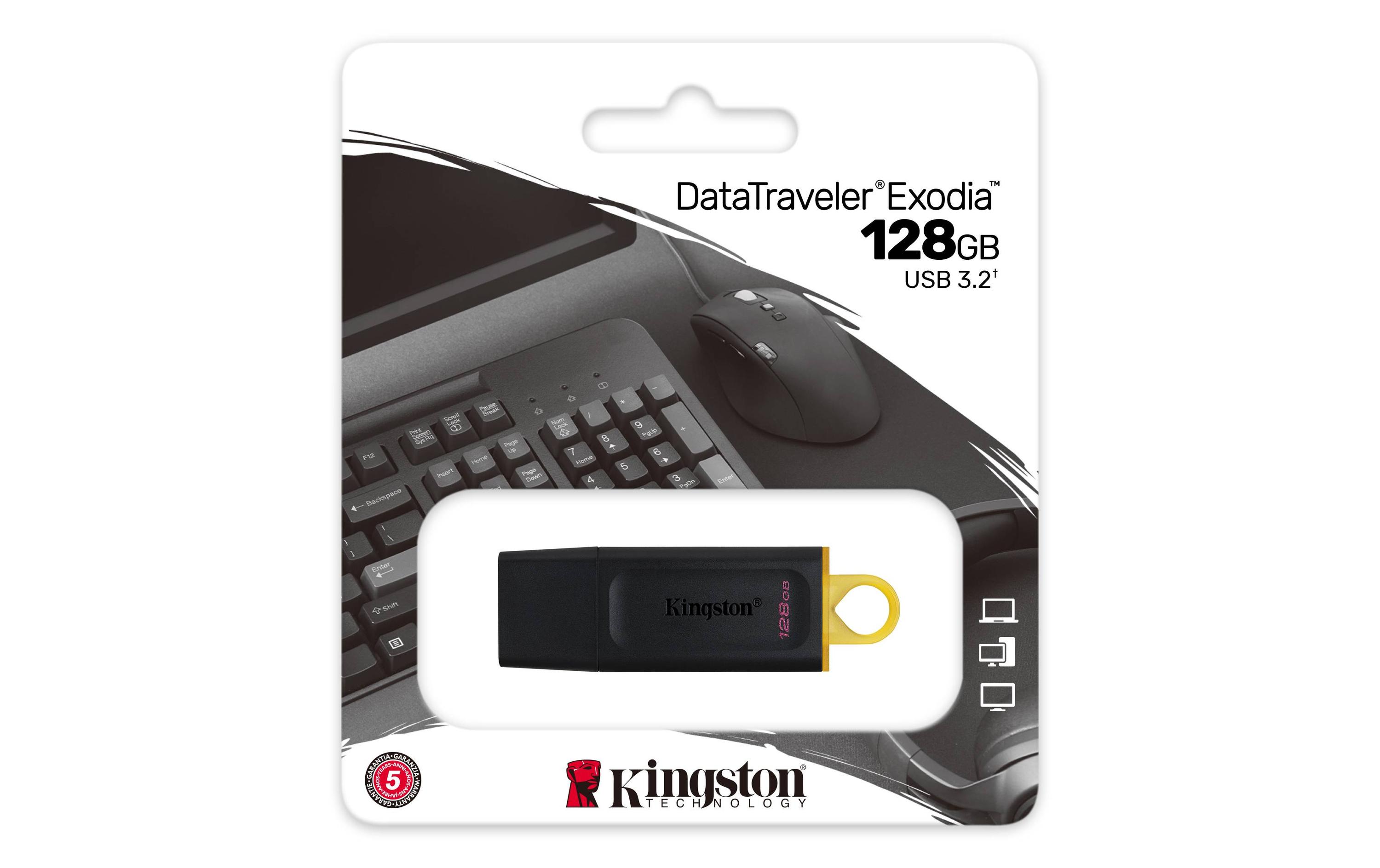 Kingston USB-Stick DataTraveler Exodia 128 GB