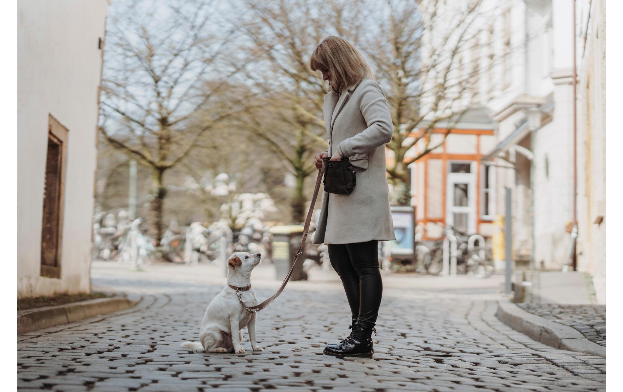 Hunter Verstellbare Führleine Inari, 25/200, Beige