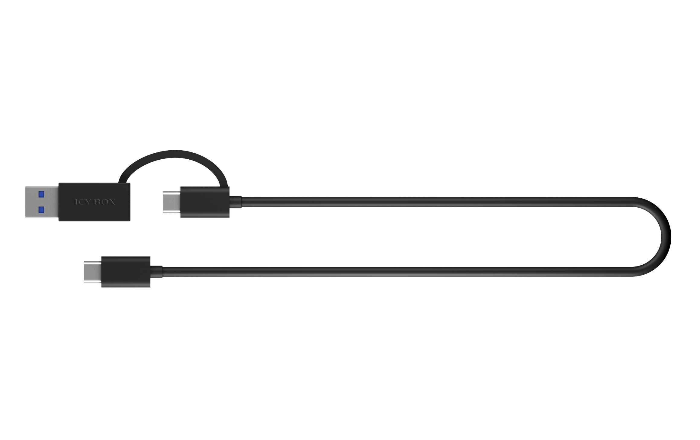 ICY BOX Dockingsstation IB-180MC-C31 ICY BOX Dockingsstation IB-180MC-C31