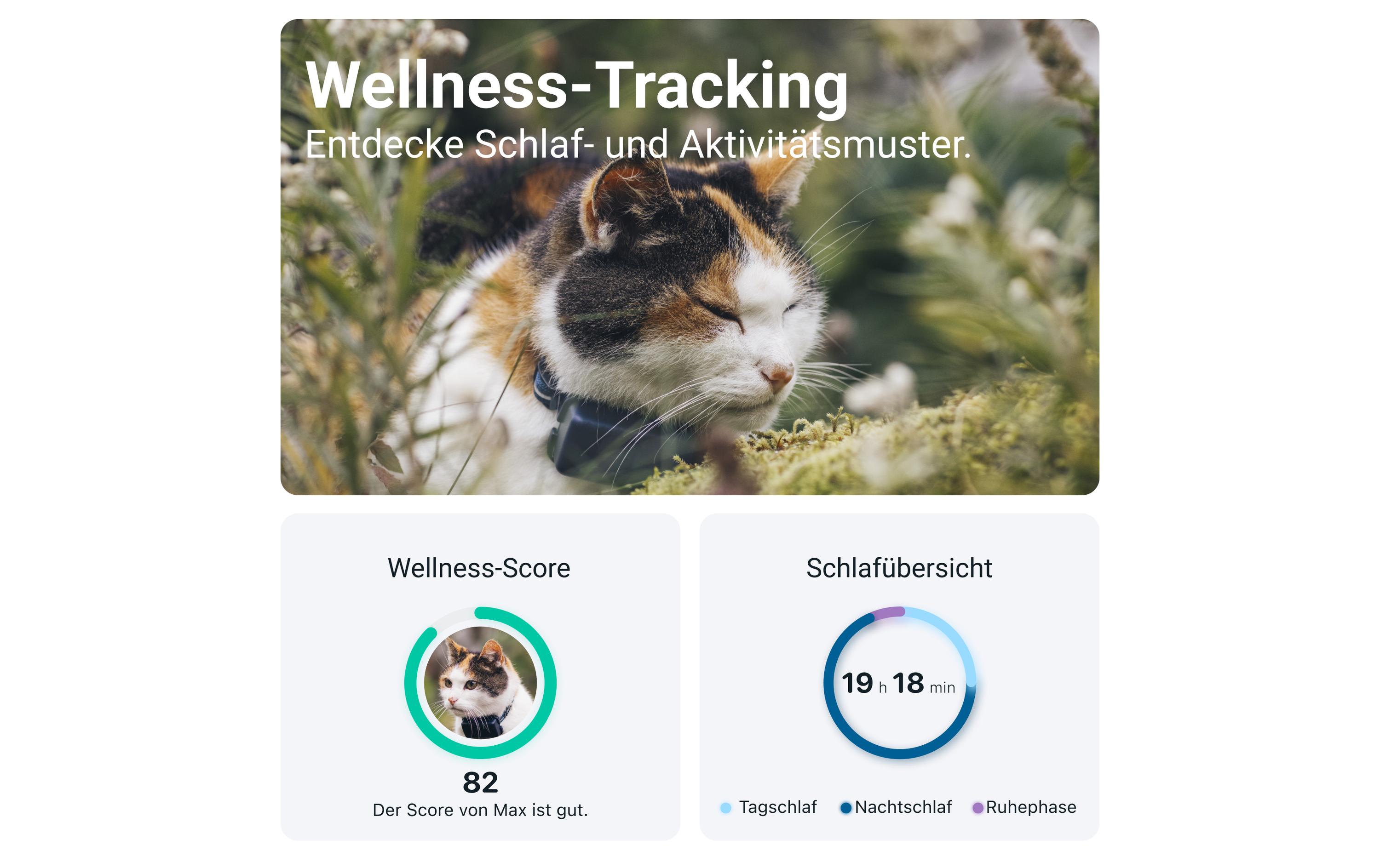 tractive GPS-Tracker CAT Mini LTE, Dunkelblau