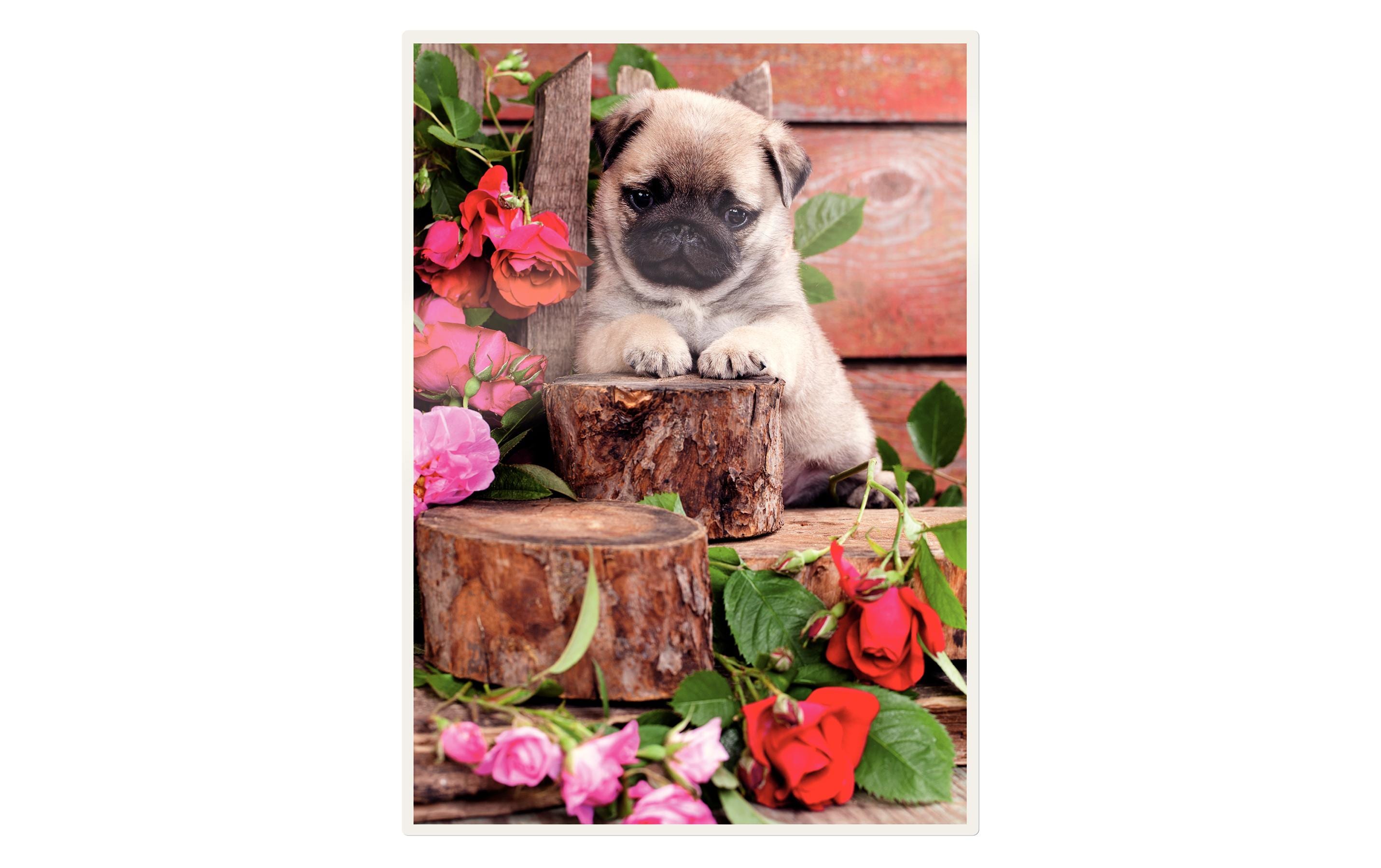 Leitz Laminierfolie A3, 125 µm, 100 Stück, Matt