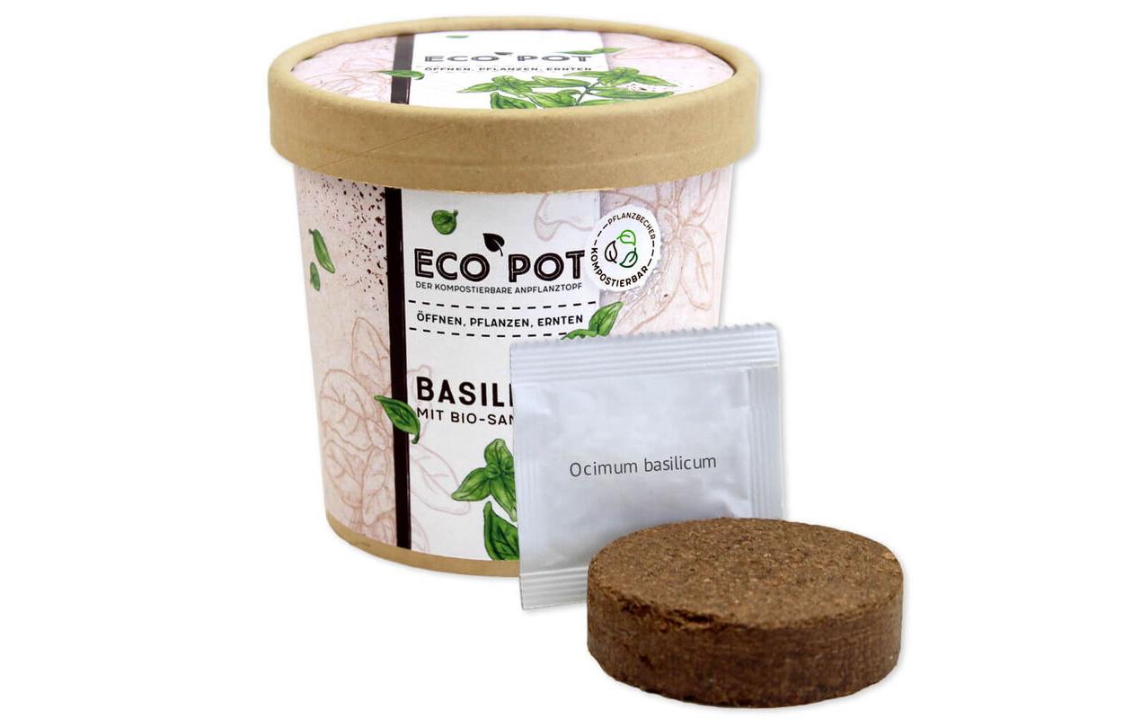 Feel Green EcoPot Basilikum BIO Feel Green EcoPot Basilikum BIO
