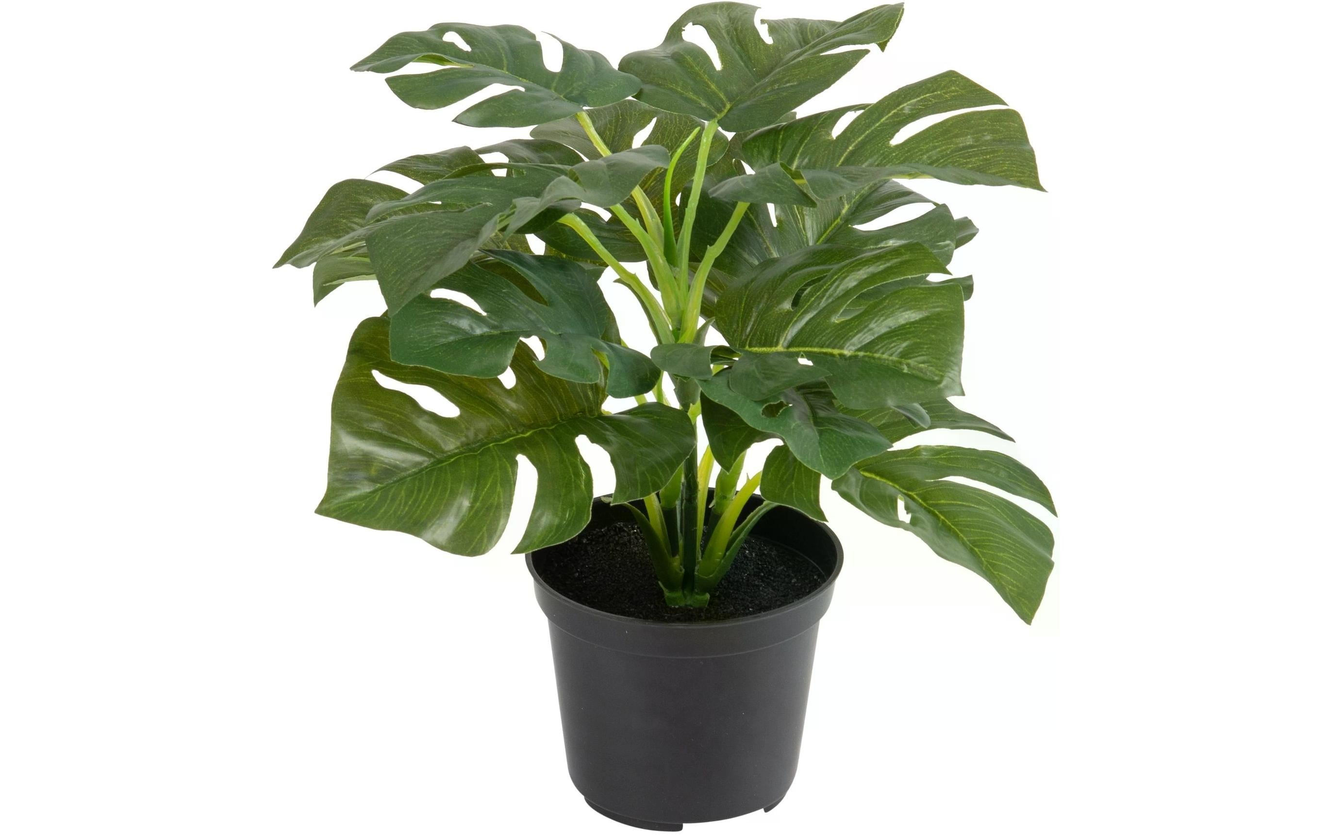 Botanic-Haus Kunstpflanze Philodendron im Topf 28 cm