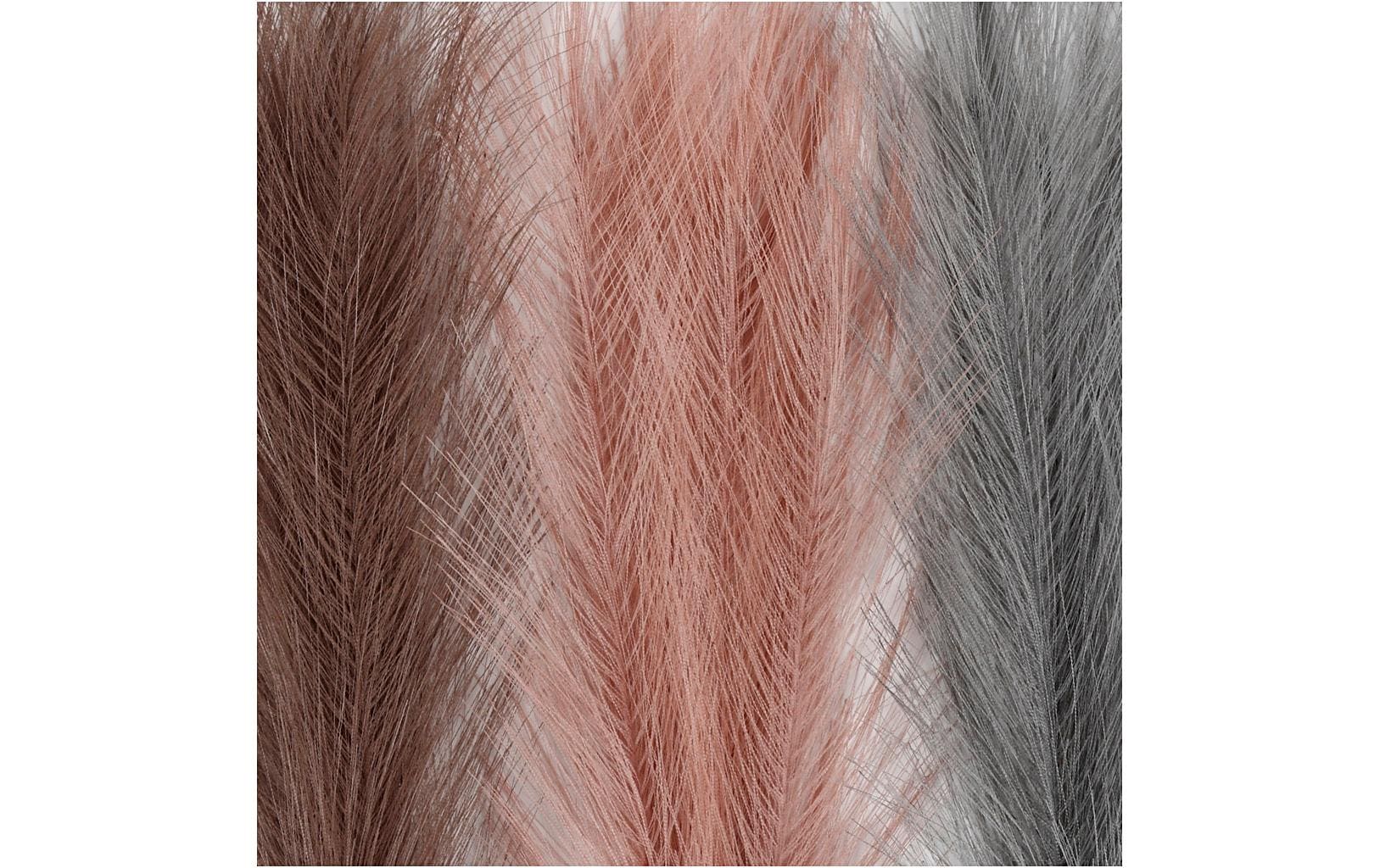 Creativ Company Trockenblumen Pampasgras 50 cm 3 Stück, Rosa, Braun, Grau