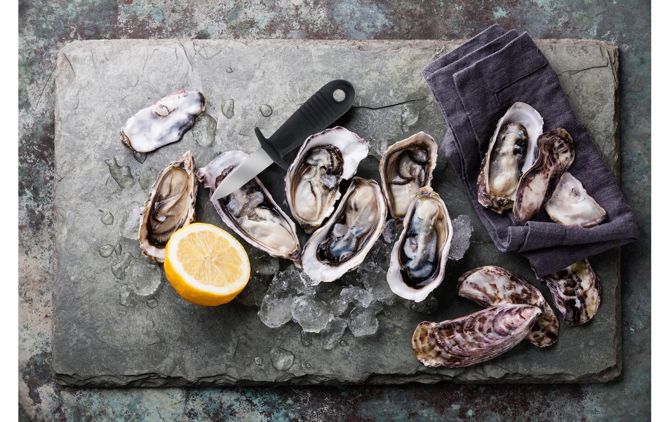 alpina Austernmesser Schwarz