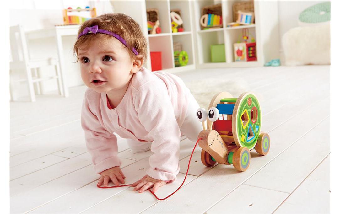 Hape Nachziehspielzeug Nachzieh-Schnecke Hape Nachziehspielzeug Nachzieh-Schnecke