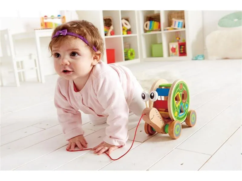 Hape Nachziehspielzeug Nachzieh-Schnecke Hape Nachziehspielzeug Nachzieh-Schnecke