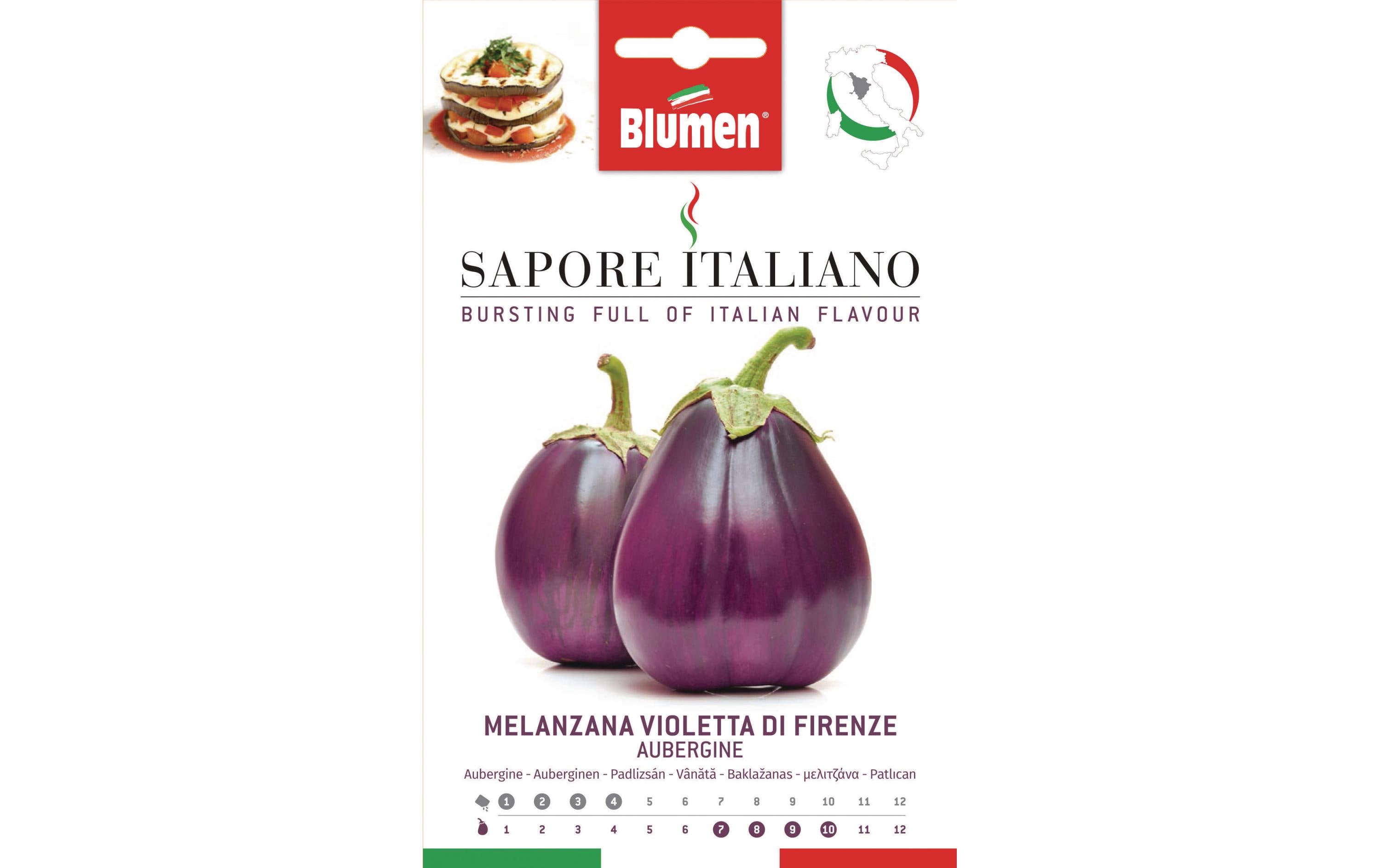 Blumen Samen Aubergine Violetta di Firenze