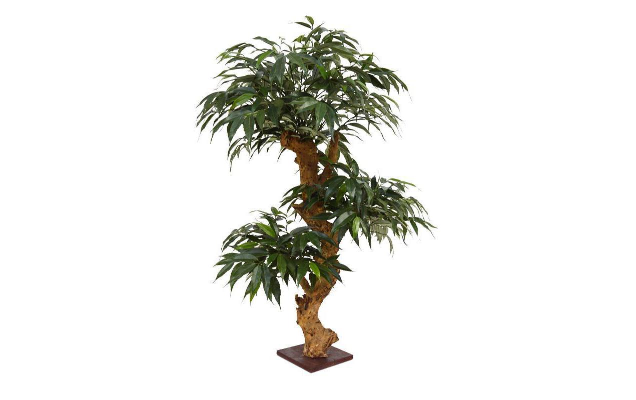 Botanic-Haus Kunstpflanze Bonsai Shirakashi, 80 cm 80 cm