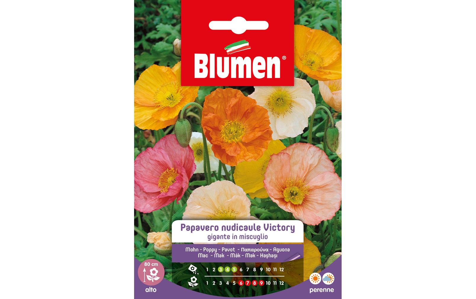 Blumen Saatgut Mohn Victory Mix Blumen Saatgut Mohn Victory Mix