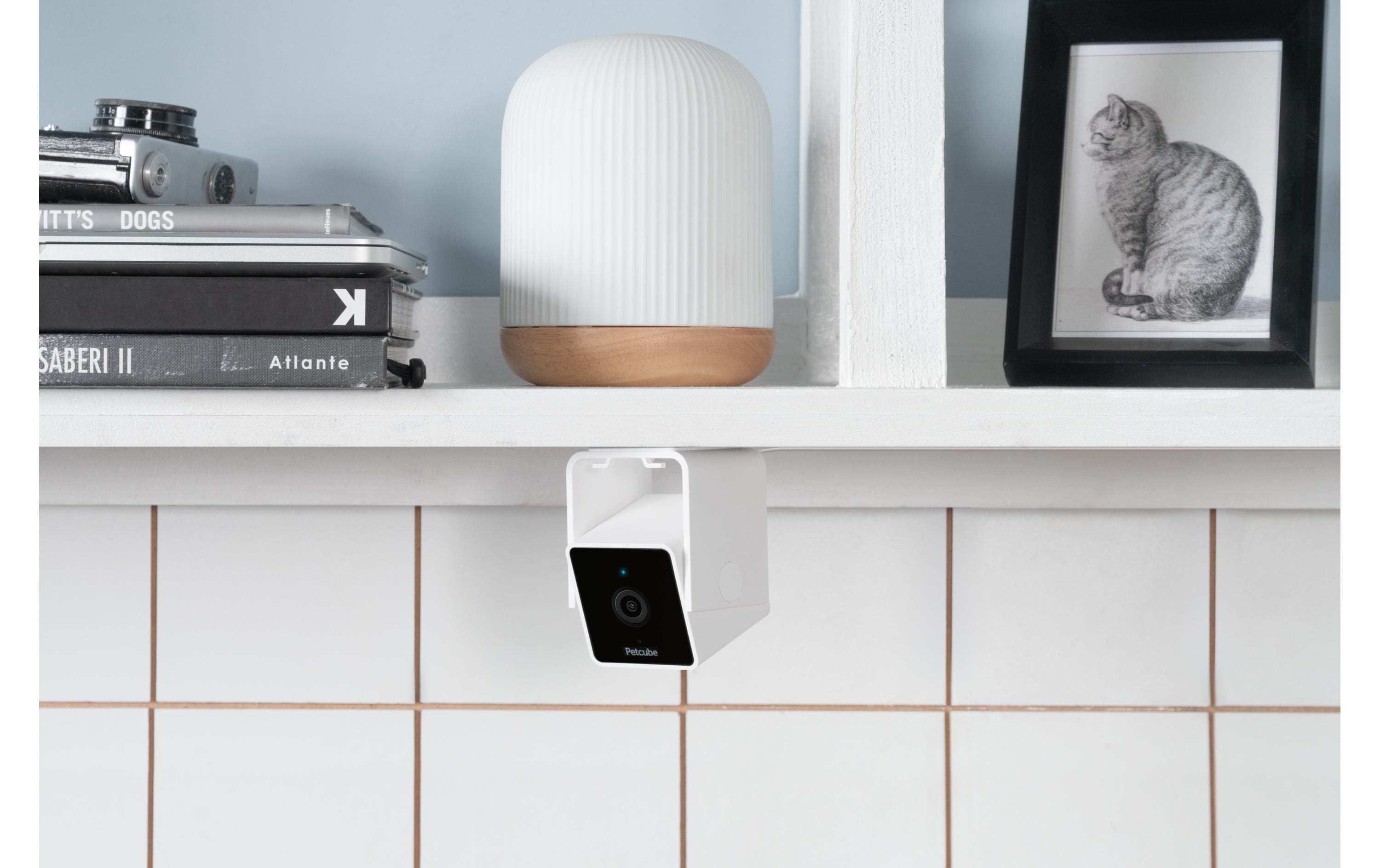 Petcube Haustierkamera Pet Cube