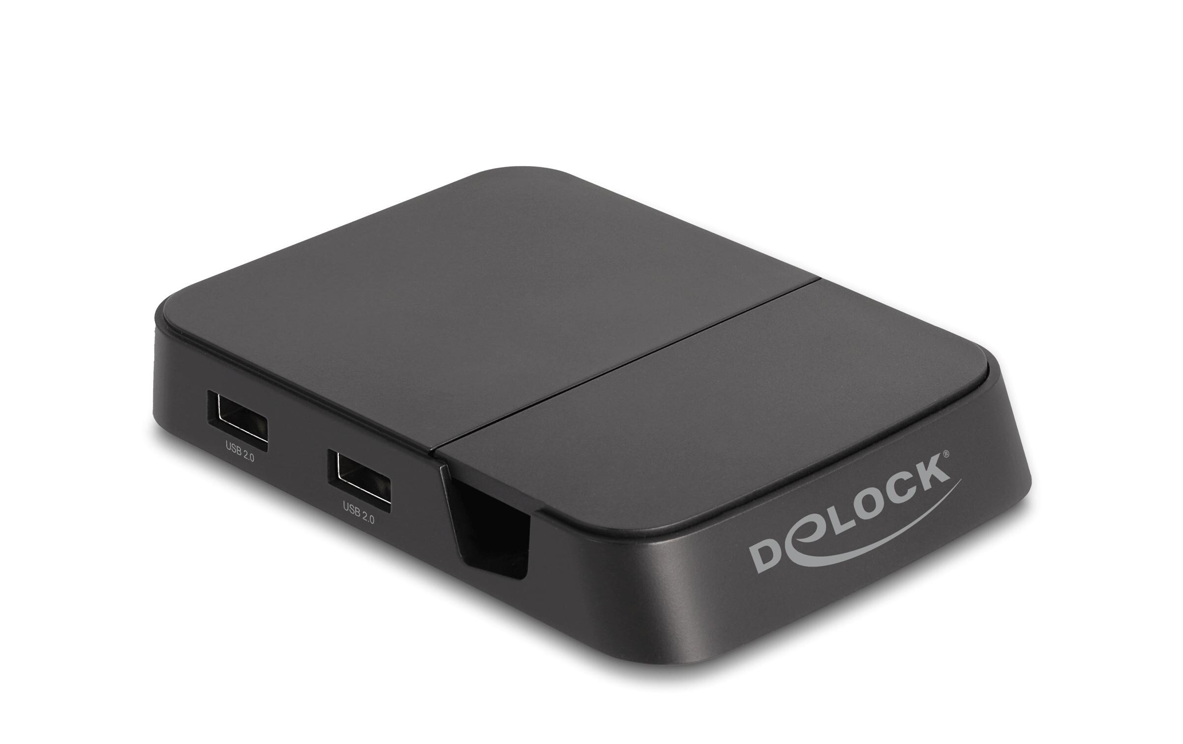 Delock Dockingstation 4K mit integrierter Halterung