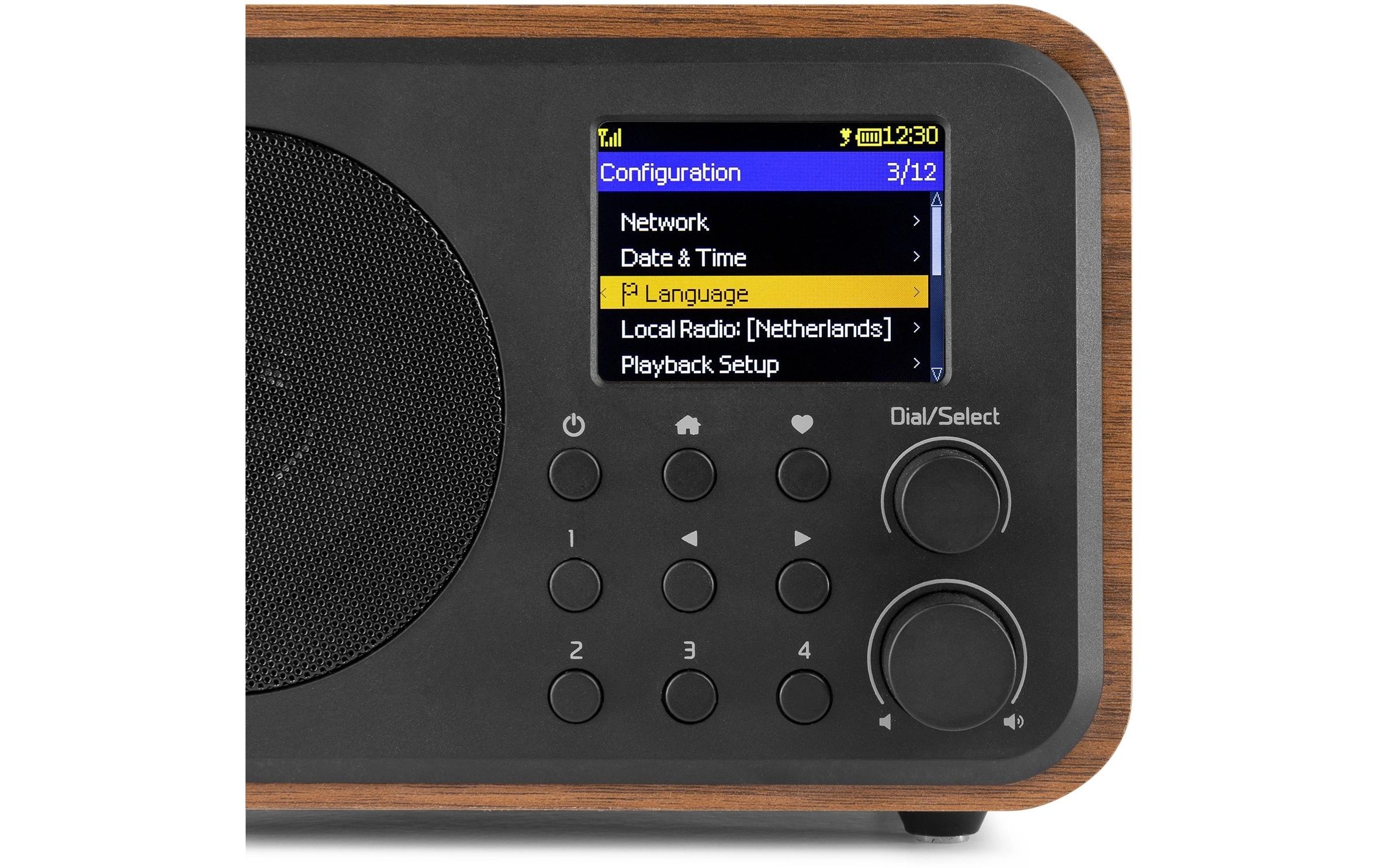 Audizio DAB+ Radio Vicenza Braun