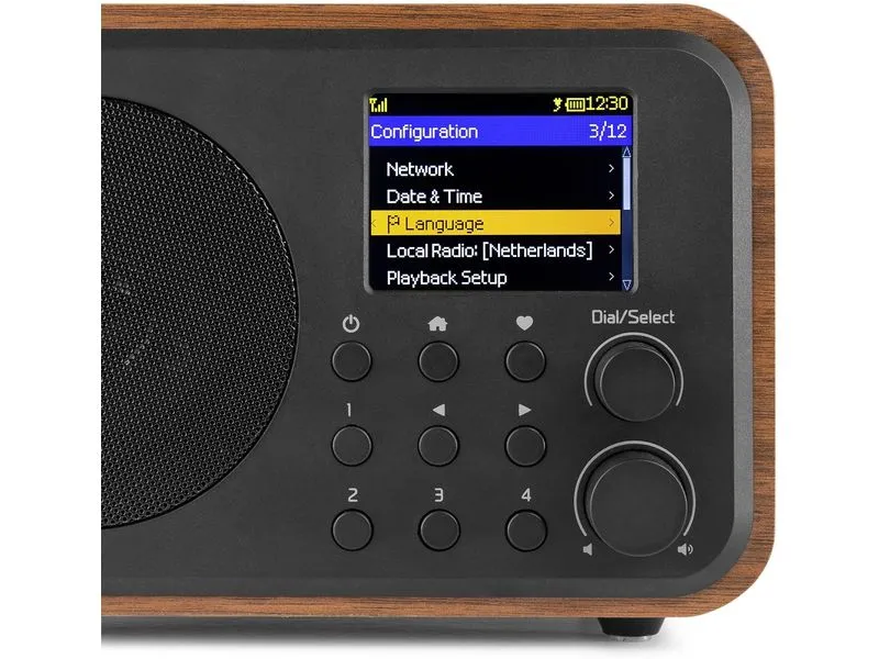 Audizio DAB+ Radio Vicenza Braun Audizio DAB+ Radio Vicenza Braun