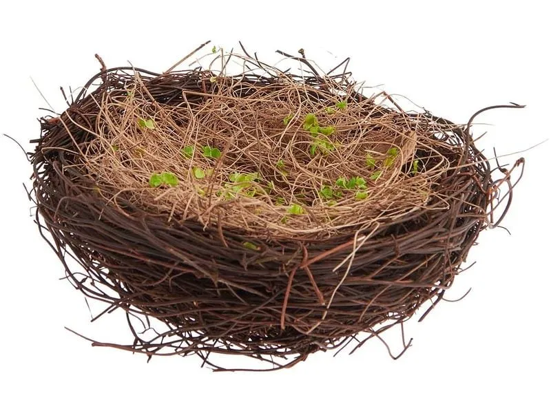 Rico Design Osternest Ø 15 cm Rico Design Osternest Ø 15 cm