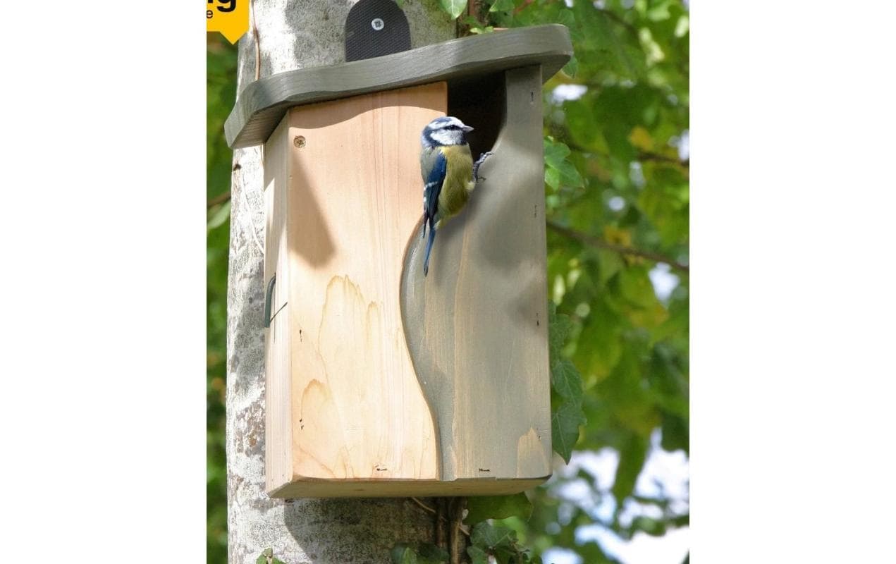 Wildlife World Cavity Nistkasten by Simon King Wildlife World Cavity Nistkasten by Simon King