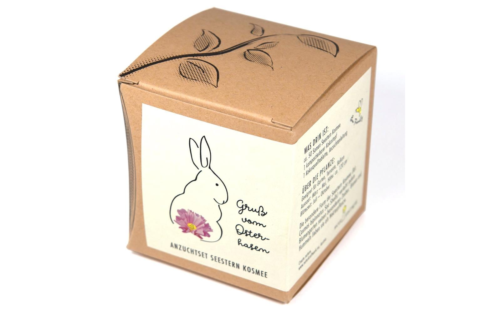 Naturkraftwerk Anzuchtset Gruss vom Osterhasen, mit Seestern Kosmee